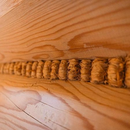 Apartamenty Dwupoziomowe Stasikowe Izby Bukowina Tatrzańska Kültér fotó